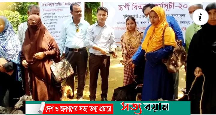 ঝিনাইগাতীতে হতদরিদ্র পরিবারের মাঝে ওয়ার্ল্ড ভিশনের ছাগল বিতরণ||সত্যবয়ান