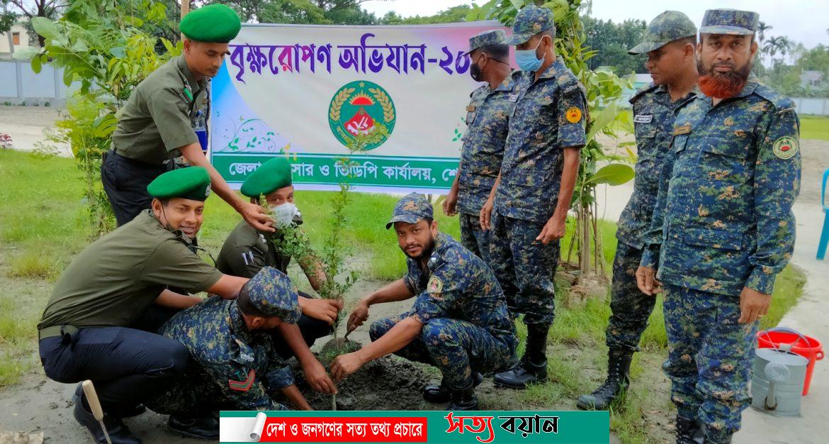 শেরপুরে আনসার ভিডিপির বৃক্ষ রোপন কর্মসূচি পালন||সত্যবয়ান