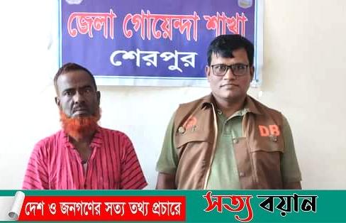 শেরপুরে ডিবি পুলিশের অভিযানে ইয়াবাসহ ১৪ মামলার আসামী গ্রেফতার